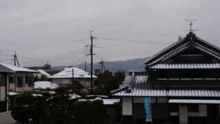 2月8日　　雨時々雪_d0248792_22284623.jpg