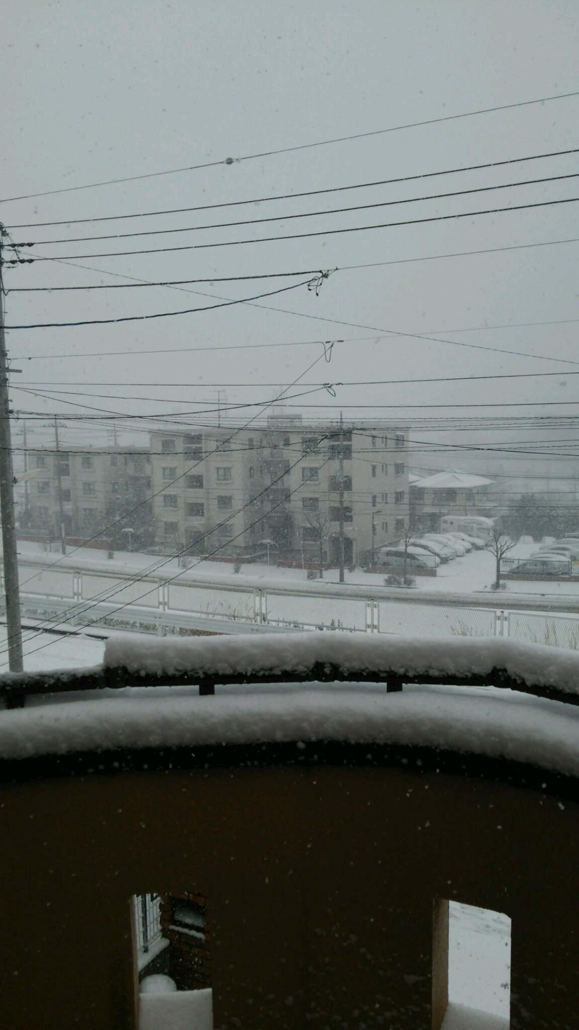 e0119092_10522783.jpg