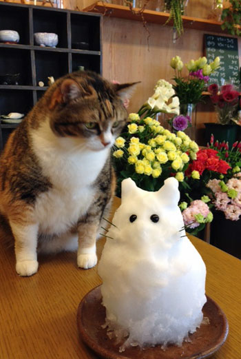 雪だるまと猫だるま。_f0223594_18331460.jpg