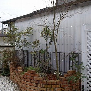 2014年2月 河内長野市 花壇植栽_a0233896_17303219.jpg