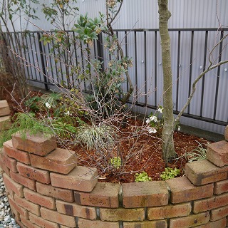 2014年2月 河内長野市 花壇植栽_a0233896_17415673.jpg