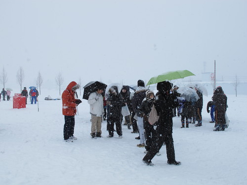 第５回山形大学雪合戦大会（６）_c0075701_14273120.jpg