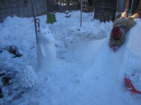 大雪その後_c0158301_20413753.jpg