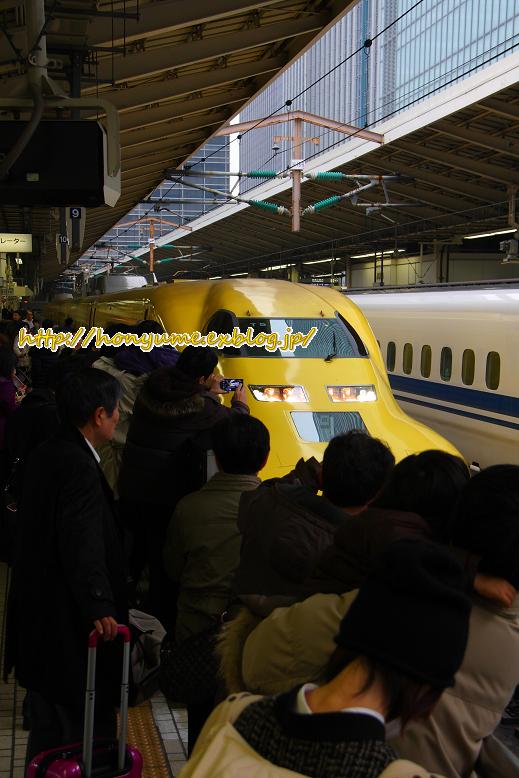 01 25 黄色と赤色と緑色の人気者 その1 本日の夢旅人