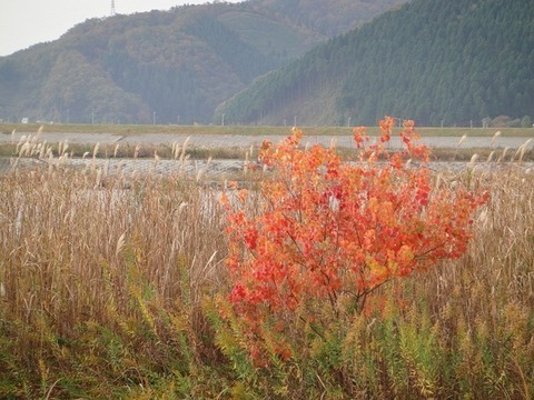 b0319003_1254981.jpg