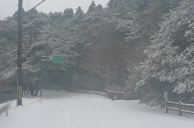 大雪の六甲山_d0264710_12461051.jpg