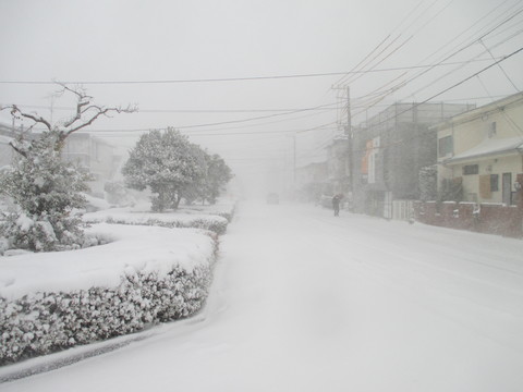 b0183111_10534872.jpg