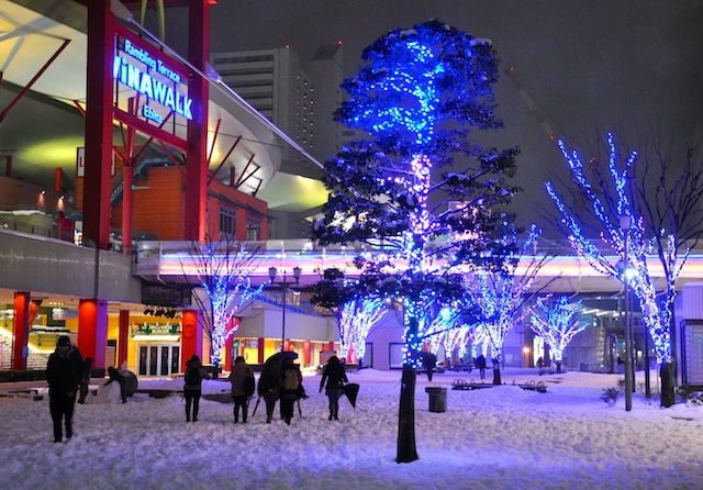 わが町の雪景色_c0248013_16575028.jpg