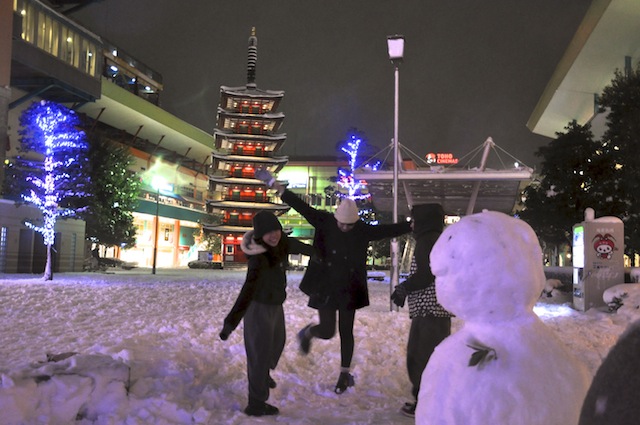 わが町の雪景色_c0248013_1725656.jpg