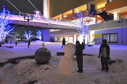 わが町の雪景色_c0248013_17272469.jpg