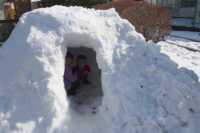 わが町の雪景色_c0248013_17481349.jpg