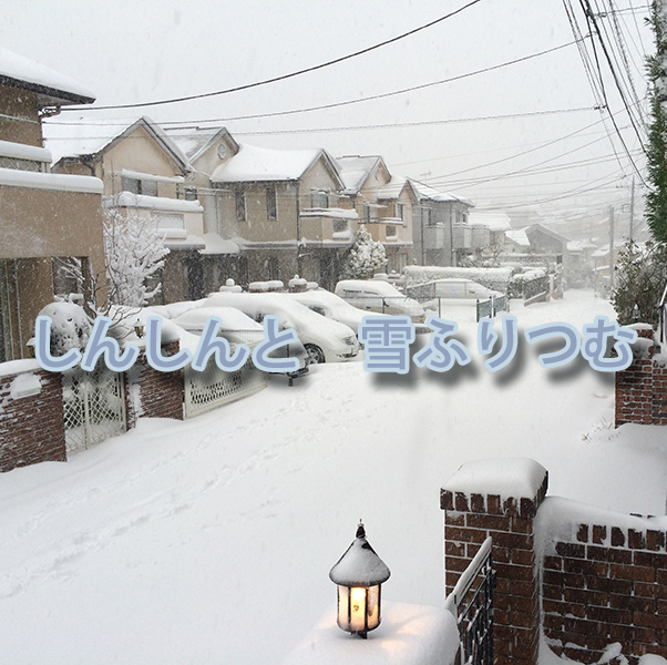 ココミミ地方大雪協奏曲_d0013316_22412925.jpg