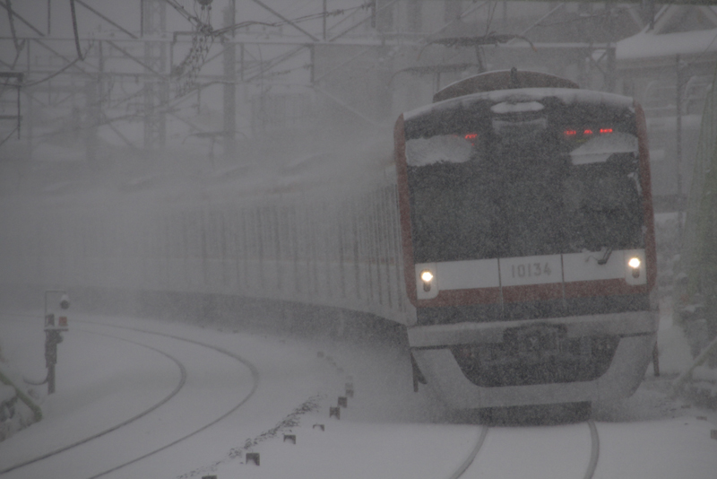 大雪　2014年2月8日_f0215016_18122058.jpg