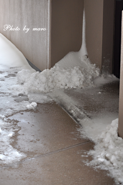 酷過ぎる雪 と 雪だらけのベランダ♪♪_e0160417_1491281.jpg