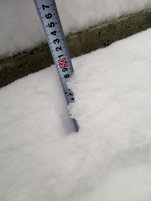 e0192217_86775.jpg