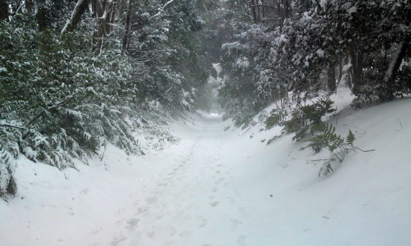 d0221319_81717.jpg