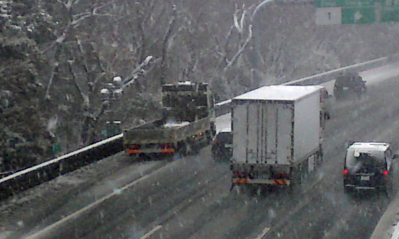 d0221319_86990.jpg
