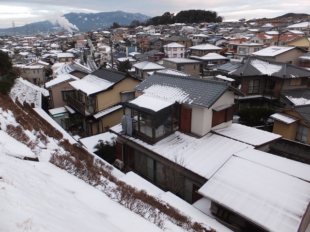 雪、凄すぎました_f0221724_10135486.jpg