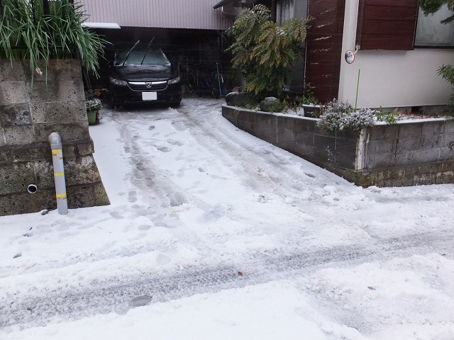 雪、凄すぎました_f0221724_10392099.jpg