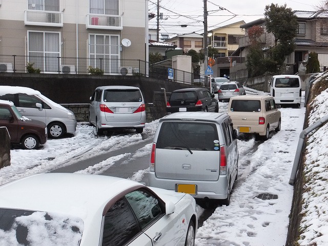 雪、凄すぎました_f0221724_10444086.jpg