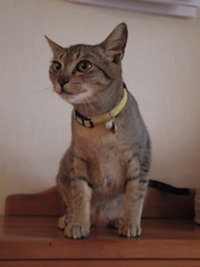 c0192025_1584568.jpg