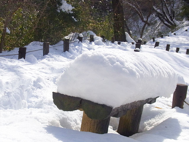 東京は大雪、風邪ひきで東京シクロクロス観戦は見送り_e0123825_19145555.jpg