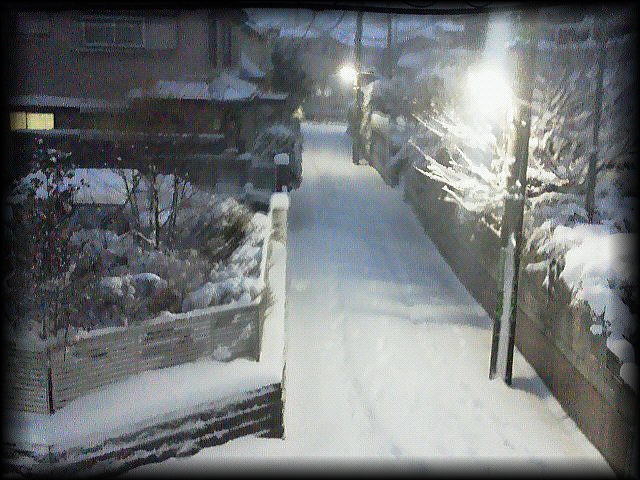 　「 大雪・・・ 」_b0133126_12363985.jpg