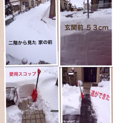 大雪_a0038930_147206.jpg