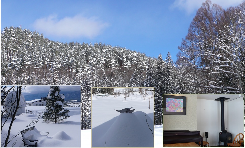 雪景色　庭の変化は_a0212730_1557201.jpg