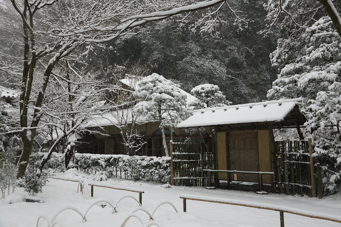 鎌倉散歩　#41 －雪の明月院（その1）－_b0169330_17373425.jpg