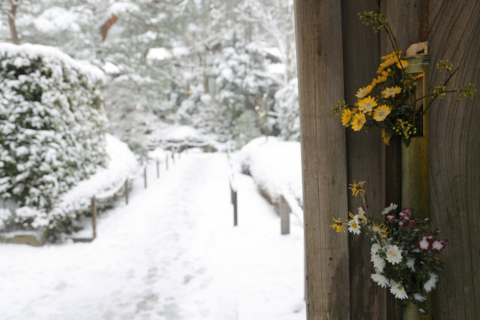 鎌倉散歩　#41 －雪の明月院（その1）－_b0169330_1738549.jpg