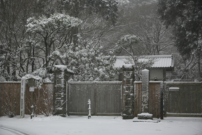 鎌倉散歩　#41 －雪の明月院（その1）－_b0169330_177658.jpg