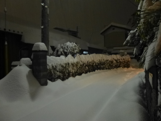 すごいぞ、雪。_f0010330_0215670.jpg