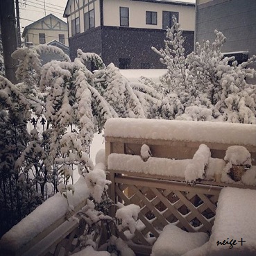コットンフレンド2014春号&関東45年ぶりの大雪_f0023333_07182465.jpg