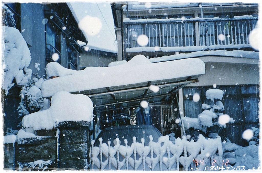 20年ぶりの大雪になりました＞＜_e0052135_15383551.jpg