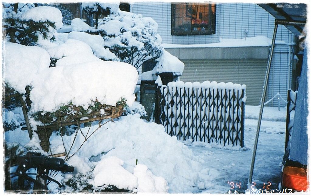 20年ぶりの大雪になりました＞＜_e0052135_1538369.jpg