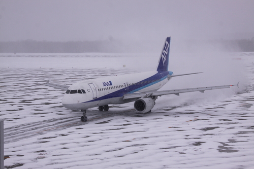 待ちくたびれた(釧路空港) 2月9日_f0113639_187543.jpg