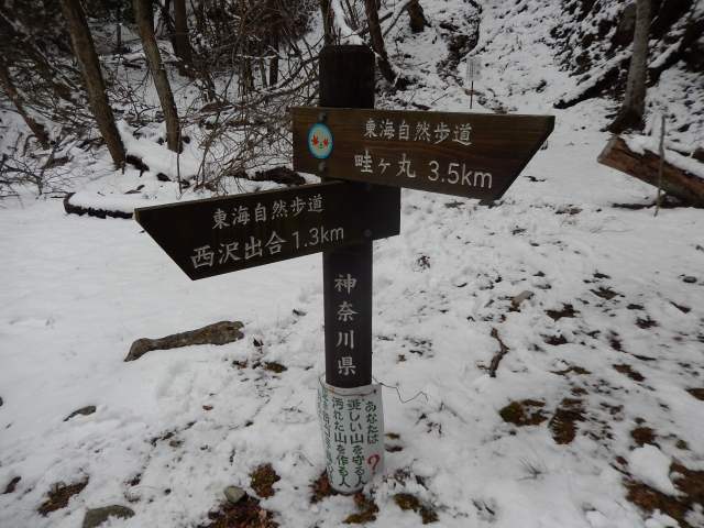 a0048040_9232850.jpg