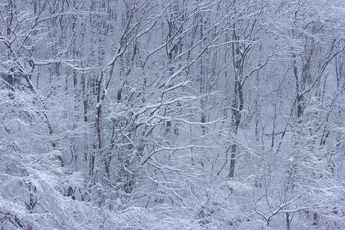 c0067040_23244469.jpg