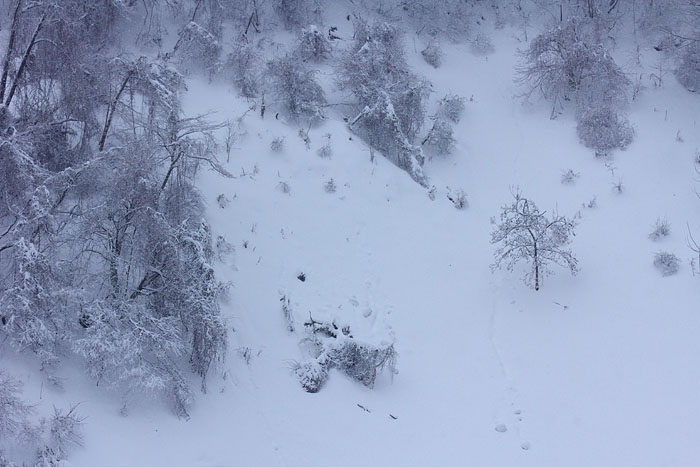 c0067040_2324825.jpg