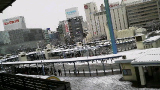 雪!雪!雪!_d0004447_1331186.jpg