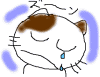救世主現る♪_f0019247_225987.gif