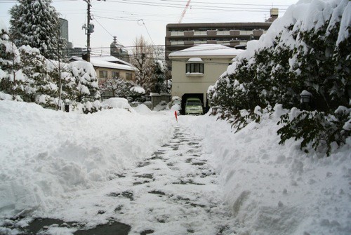積もったなぁ〜 _c0063348_8523157.jpg