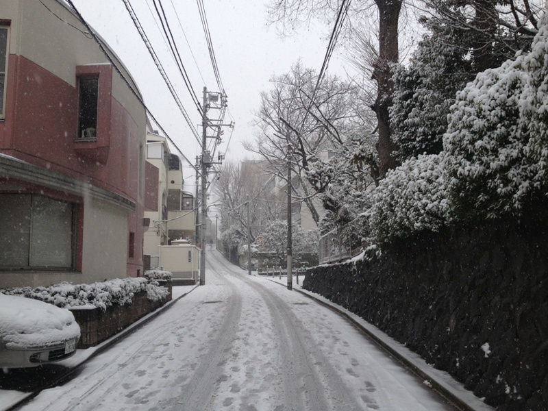 Snow in Tokyo_e0046748_21455563.jpg