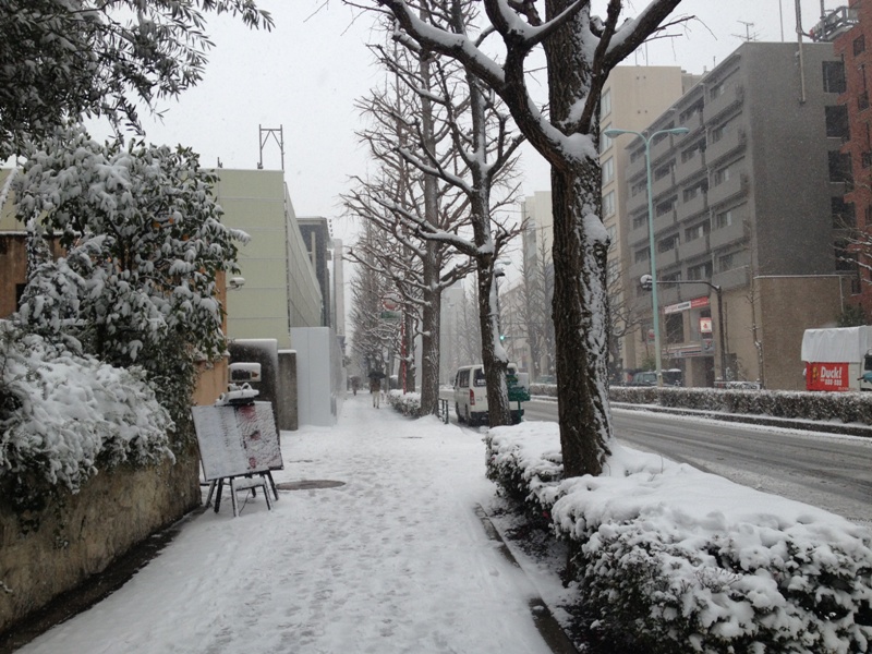 Snow in Tokyo_e0046748_2146643.jpg