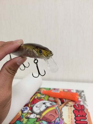 ミノーのリップ修理 熊本のバスを釣ろう