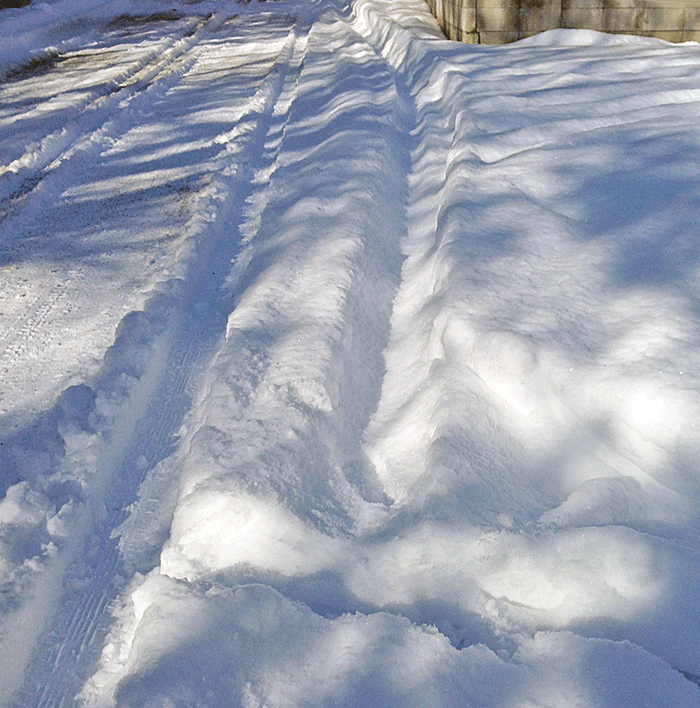 2月8日 大雪警報発令中_a0001354_2141264.gif