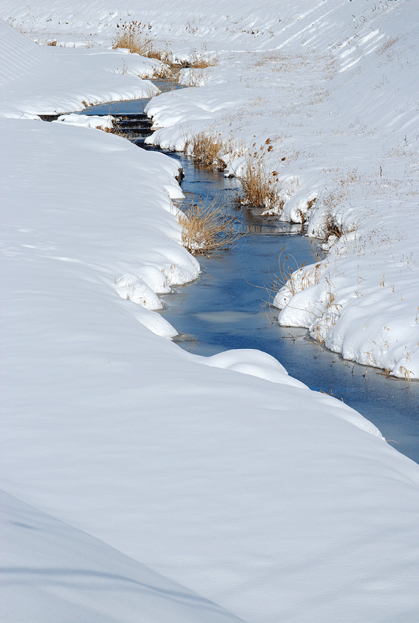 a0001354_228188.gif