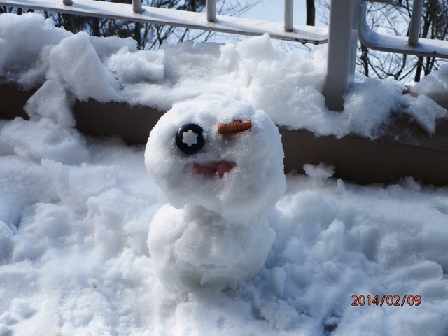 大雪が降ったよ_e0074955_151501.jpg