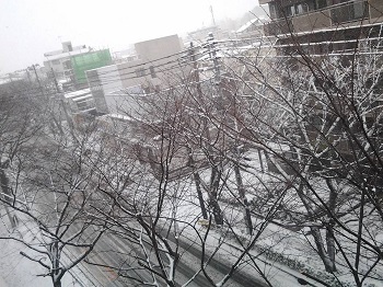 大雪_a0061057_19245270.jpg